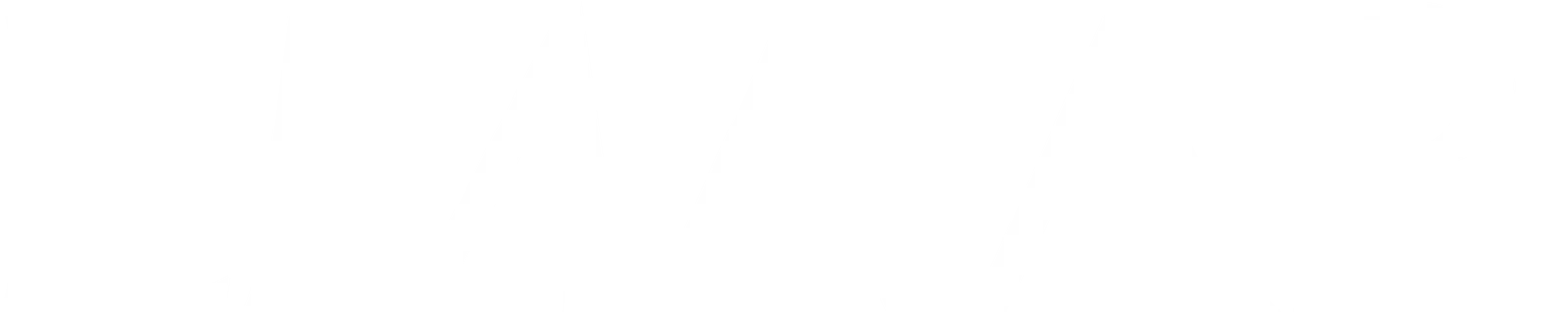Overview Logo